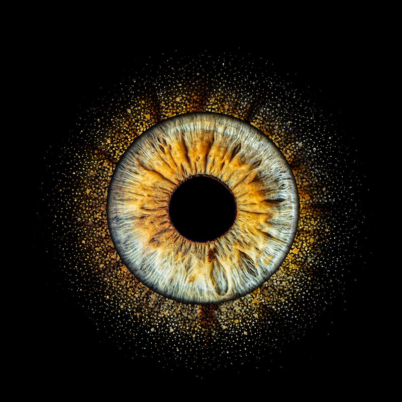 Iris Photography India